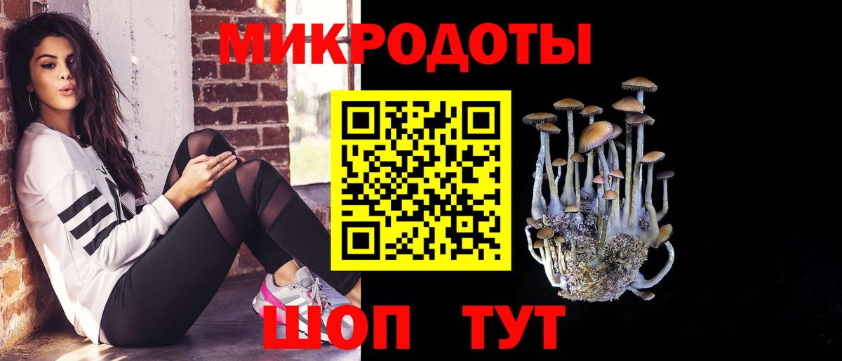 Галлюциногенные грибы мицелий Донецк